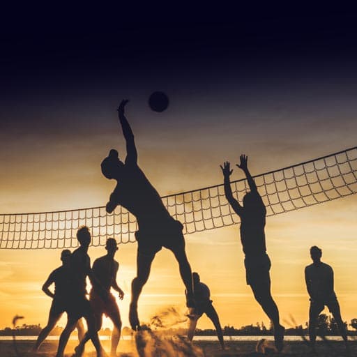 Sports